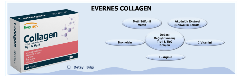 1-Collagen